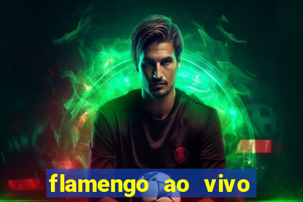 flamengo ao vivo hd play